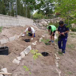 tallerJARDINERIA